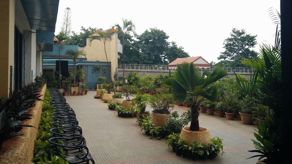 Canopy Terrace Garden