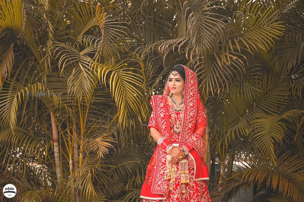 Photo From Satinder + Paramjit - By Dolphin Photography