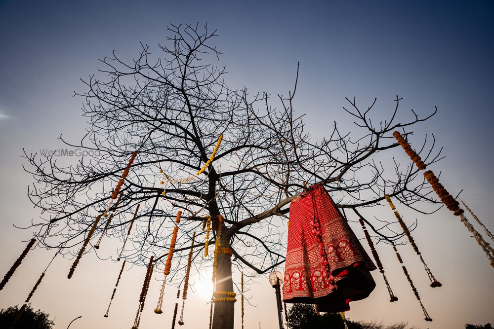 Photo of red bridal lehenga on a hanger hung on the tree