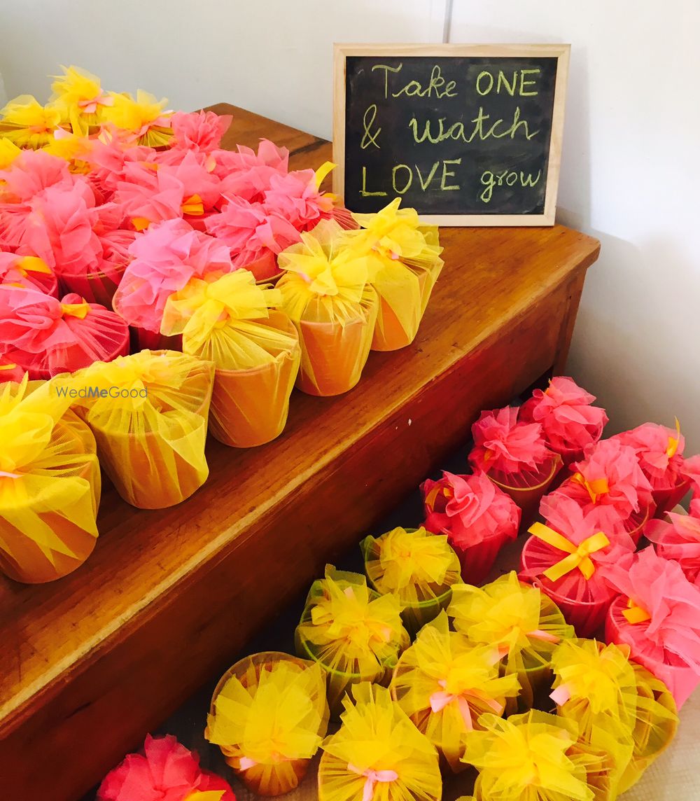 Photo of Potted seeds as favour in wedding