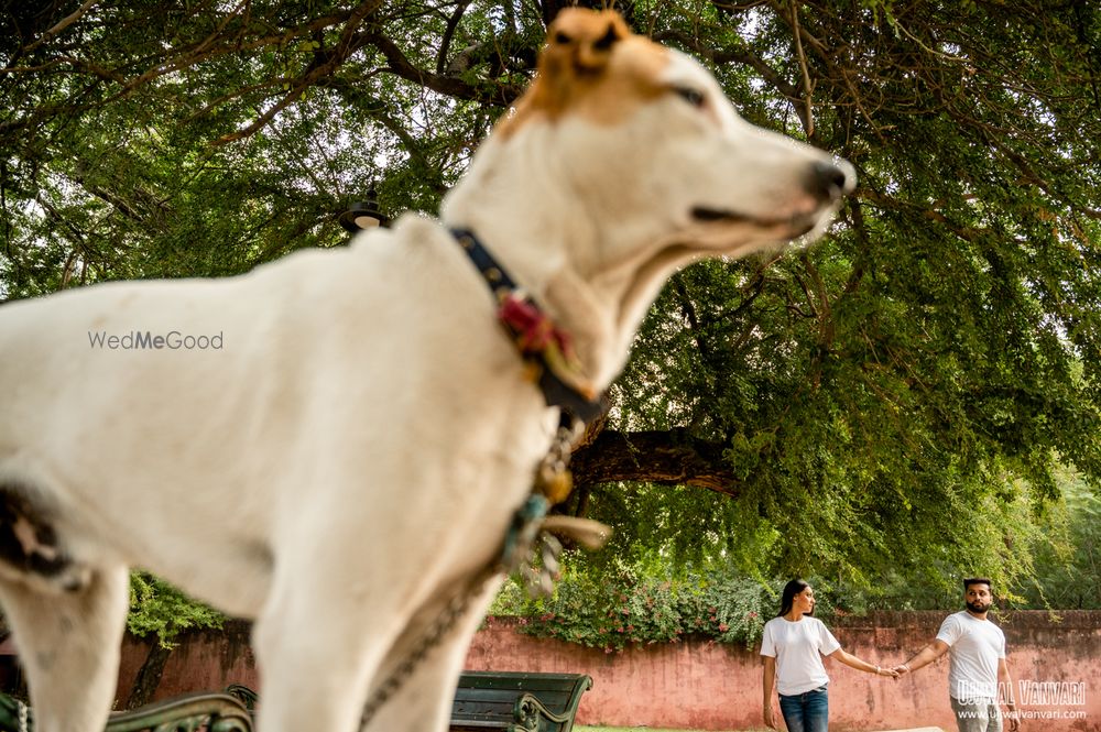 Photo From Mayank & Kamaljeet | Jaipur,2020 - By Believe Collective