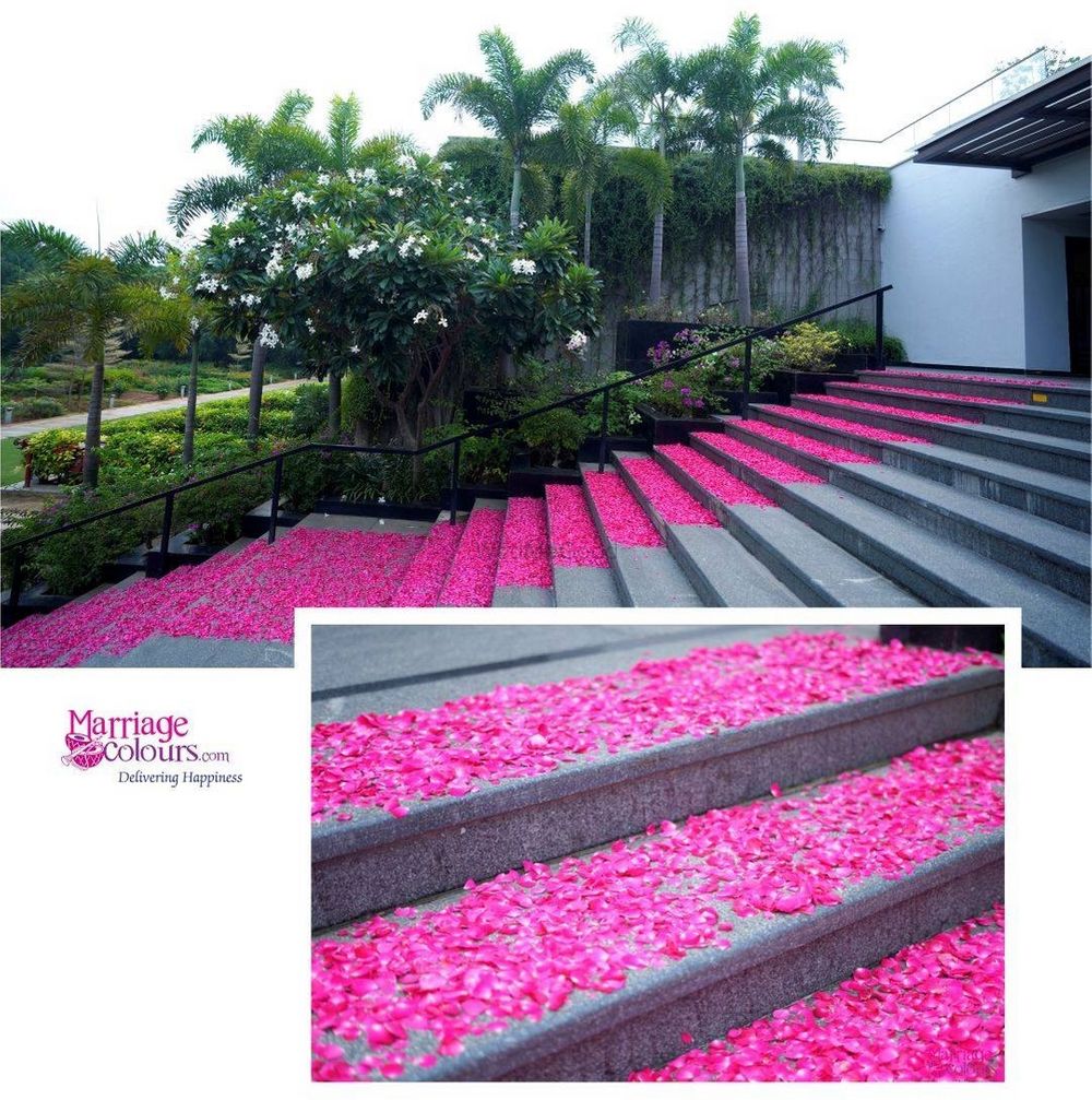 Photo From Floral carpet of rose petals laid on the grand staircase for the bride entry - By Marriage Colours