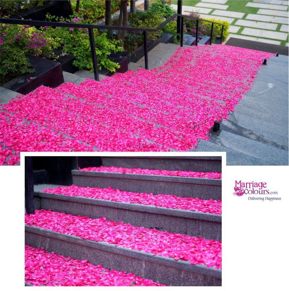 Photo From Floral carpet of rose petals laid on the grand staircase for the bride entry - By Marriage Colours