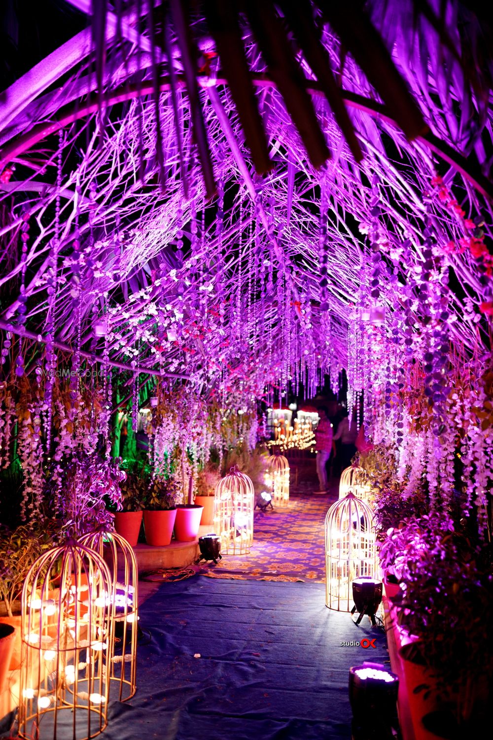 Photo From Pradil + Dr. Raina - By Studio OK