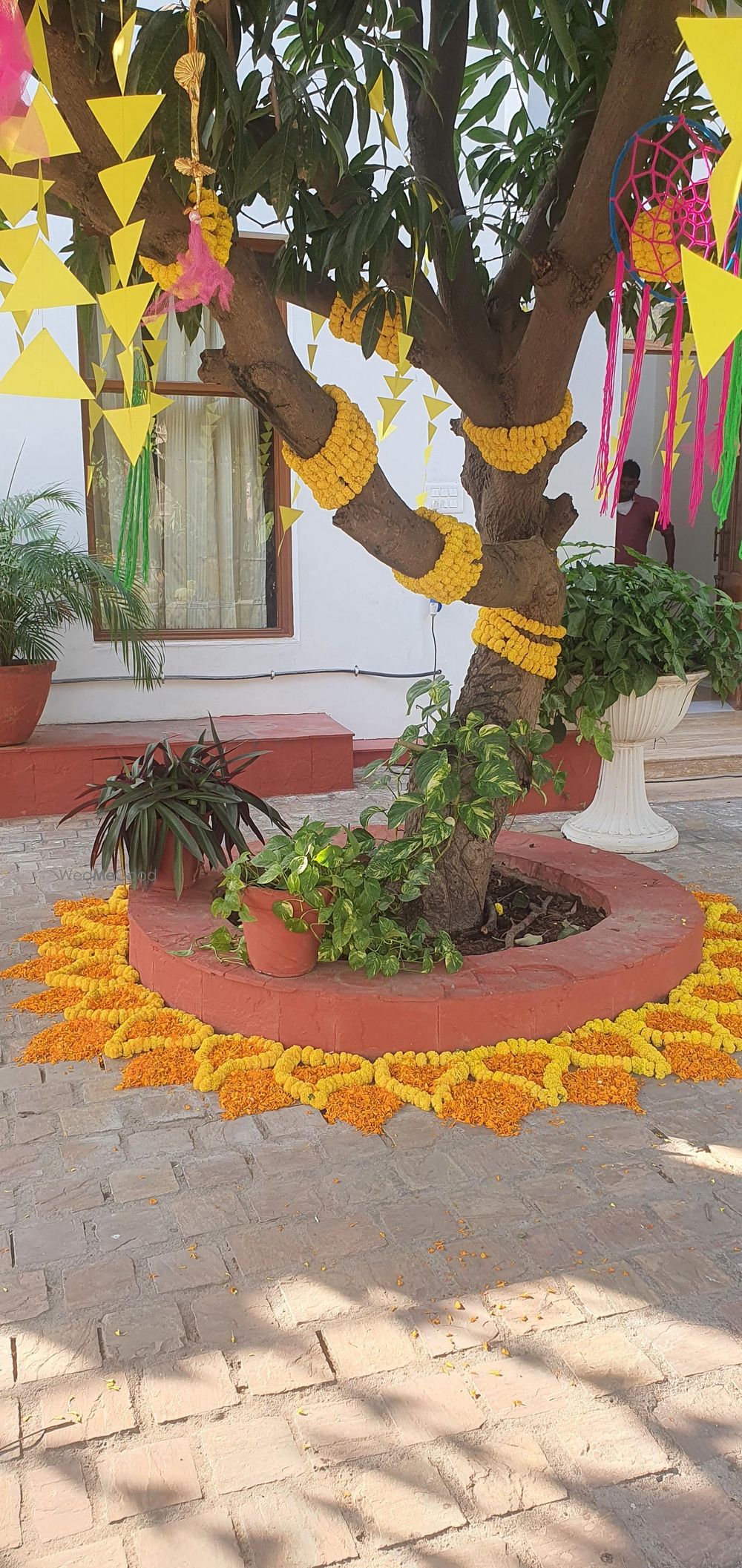 Photo From Haldi & Sangeet function - By Gala Event and Studios