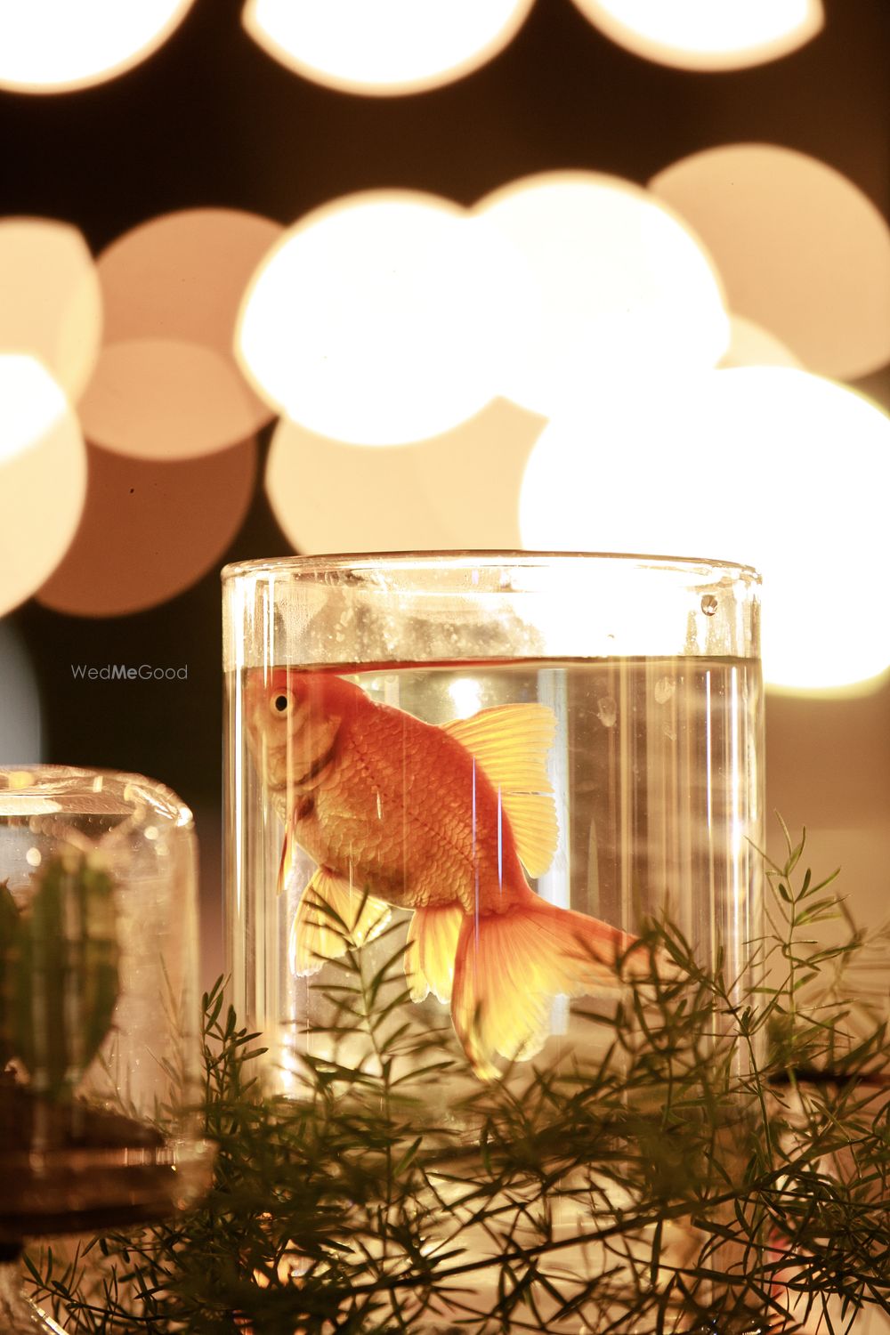 Photo From Divya & Sharath - Reception  - By White Reflections