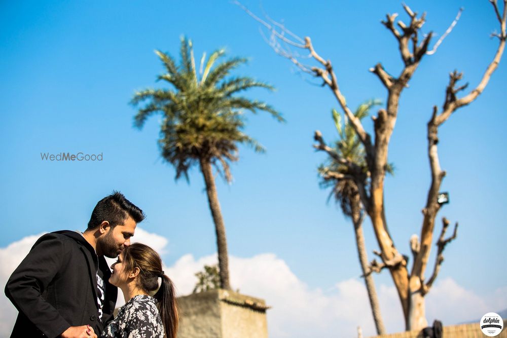 Photo From suraj + gesu | pre-wed - By Dolphin Photography