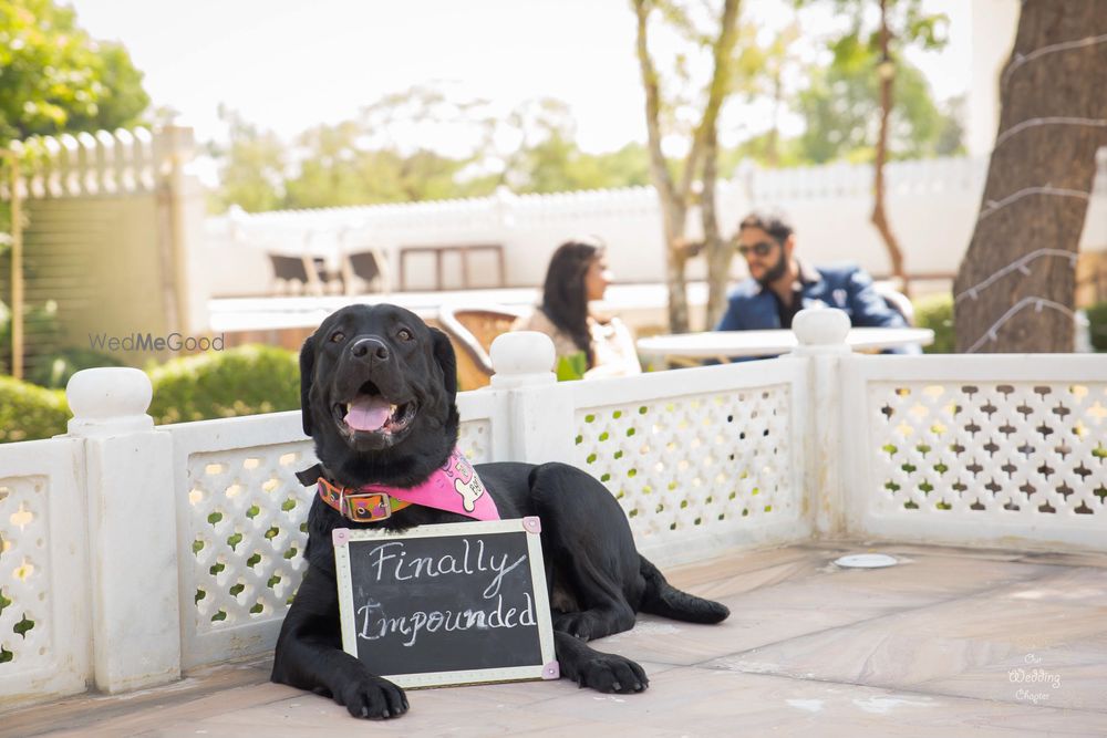 Photo From Karan and Pooja - By Our Wedding Chapter