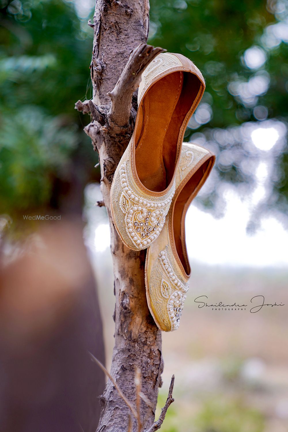 Photo From Dress Photography Bridge and Groom - By Aligance Production Shailendra Joshi Photography