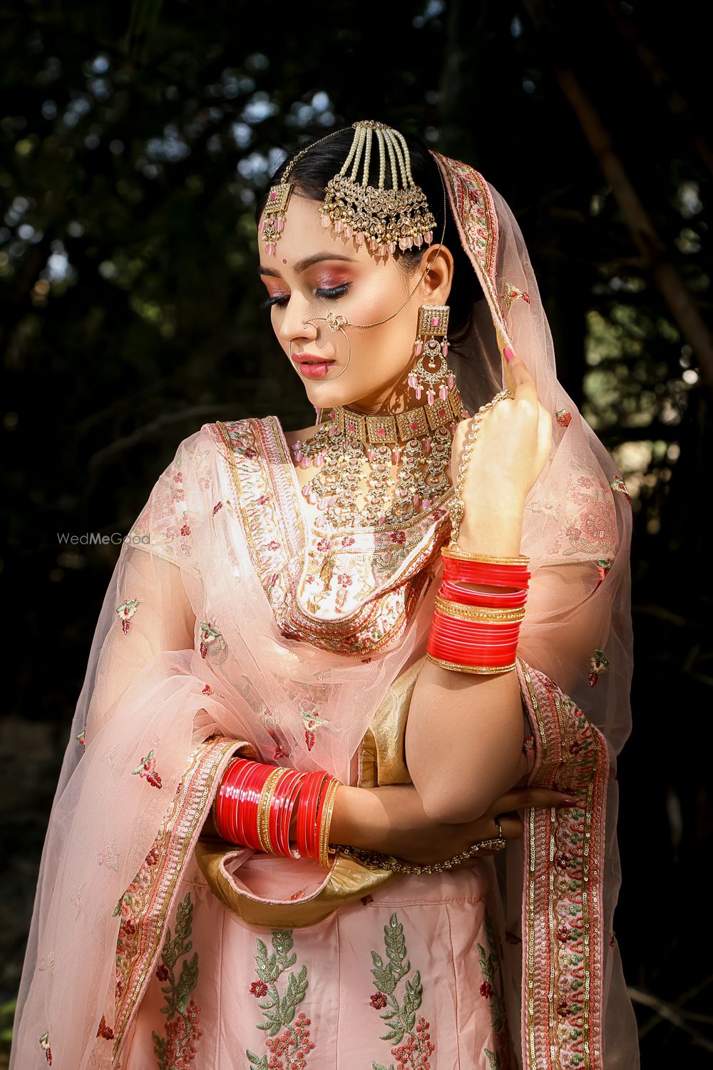 Photo From Portfolio - By Pallavi & Princee Makeovers