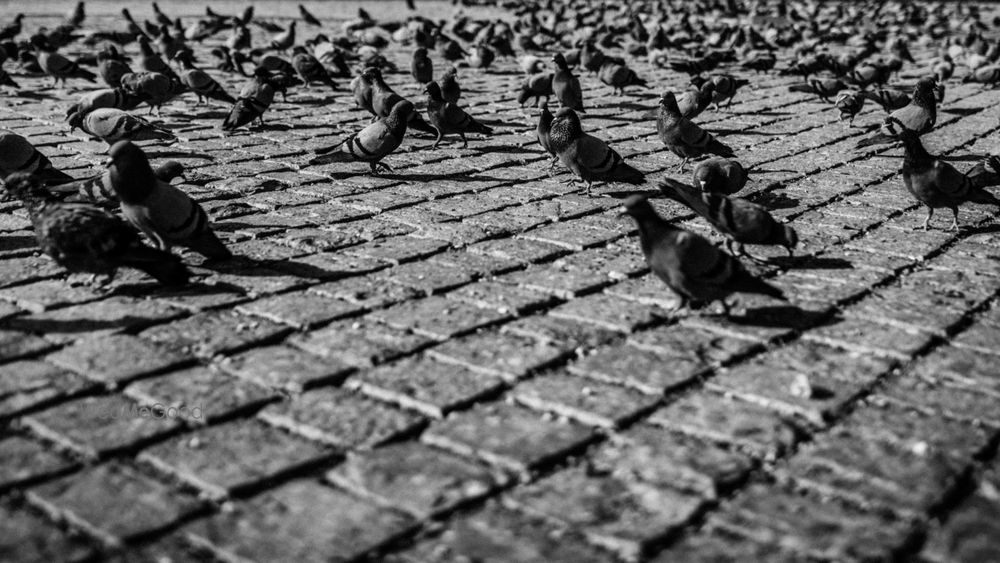 Photo From Shagun & Prachi - By Wedding Vault