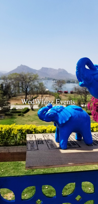 Photo From Kriti and Varun's Mehndi at The LaLiT Laxmi Vilas Palace - By WedWingz Events