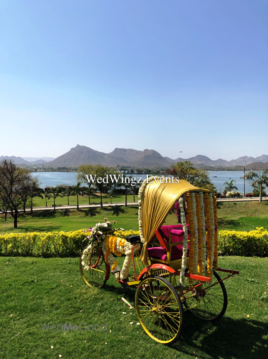 Photo From Kriti and Varun's Mehndi at The LaLiT Laxmi Vilas Palace - By WedWingz Events