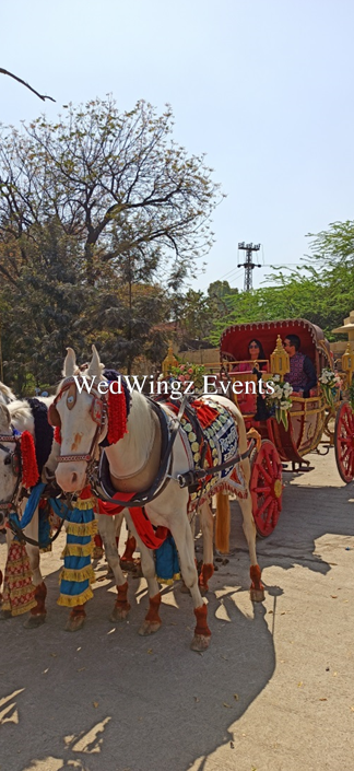 Photo From Kriti and Varun's Mehndi at The LaLiT Laxmi Vilas Palace - By WedWingz Events