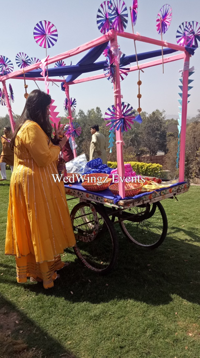 Photo From Kriti and Varun's Mehndi at The LaLiT Laxmi Vilas Palace - By WedWingz Events