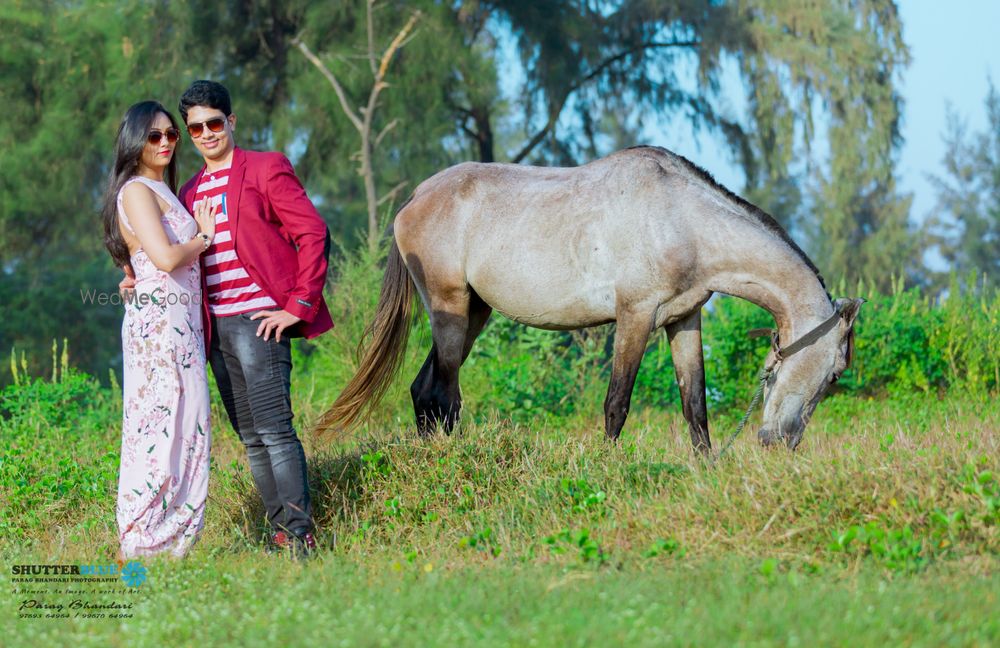 Photo From Pre-Wedding Falak & Kriti - By ShutterBlue Photography