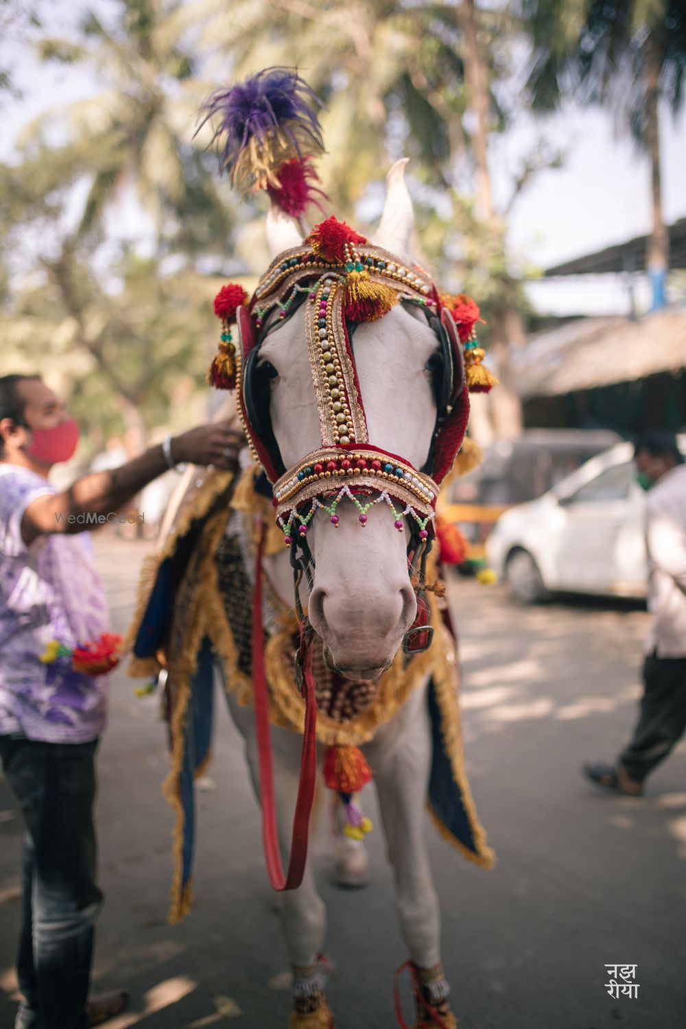 Photo From Gunveer x Daljit - By Najariya Films