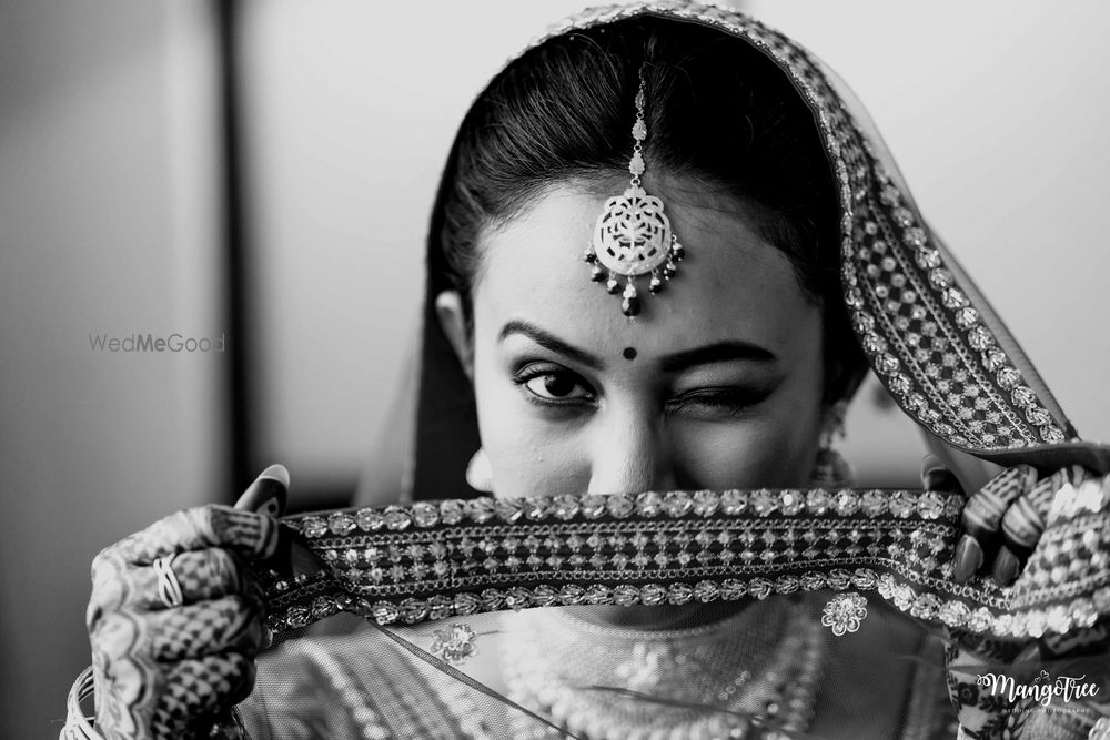 Photo From ASHISH & MANISHA - By Mangotree Photography