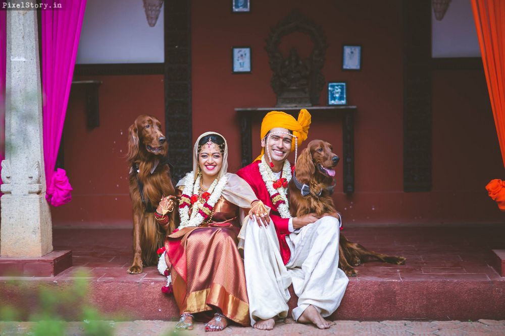 Photo of cute south indian couple shot with dogs