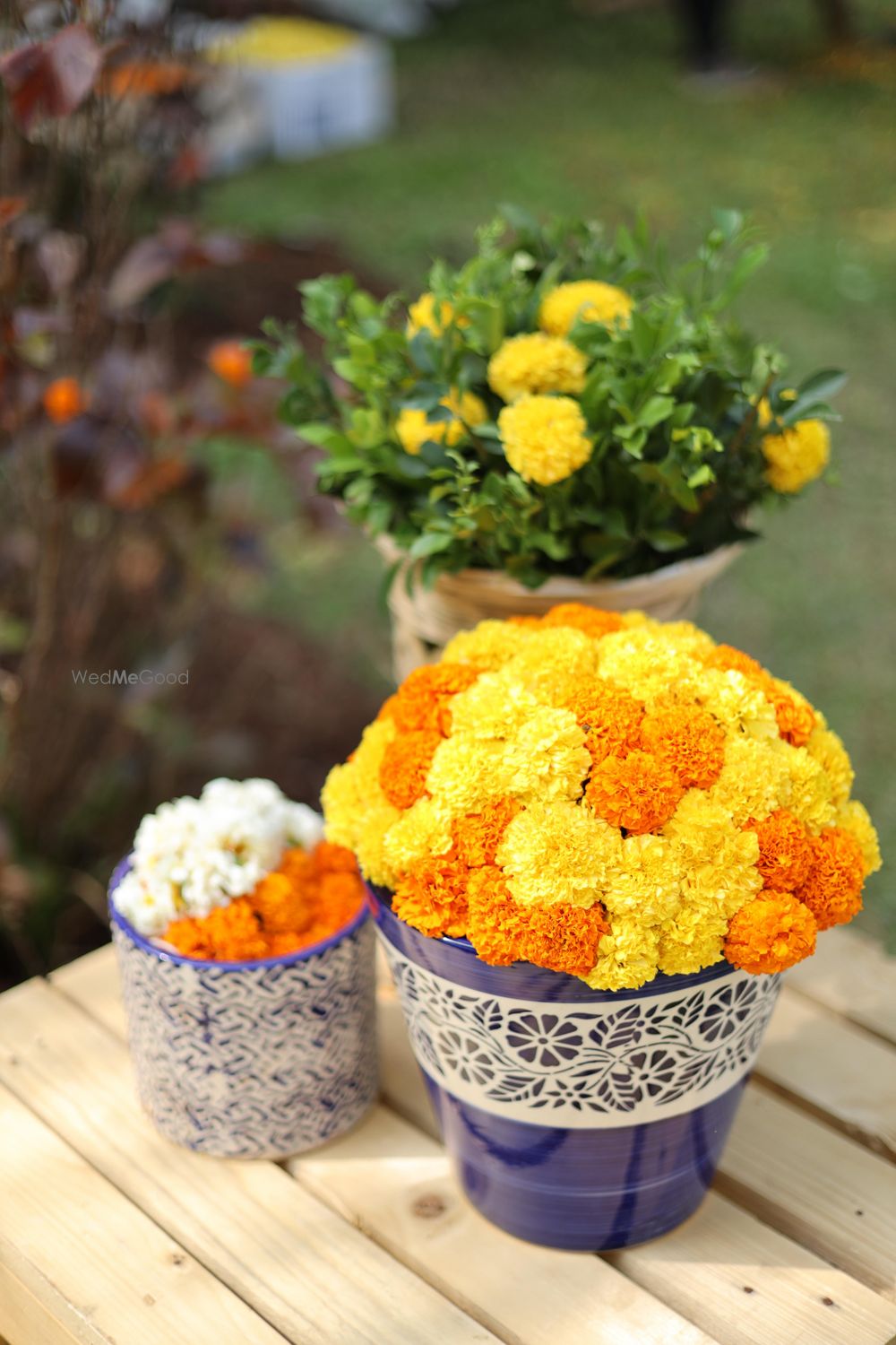 Photo From Oh Calcutta (A+S Haldi Ceremony) - By The Petite Project