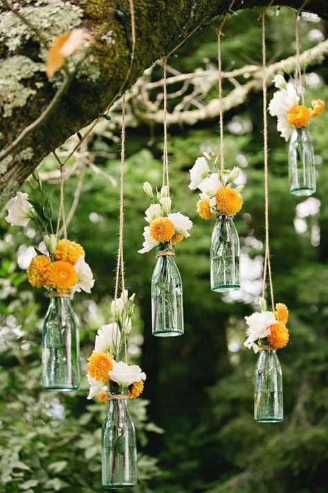 Photo of Hanging glass bottles