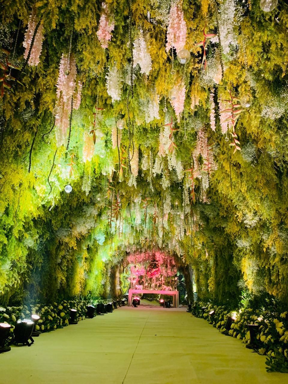 Photo of Enchanted forest entrance