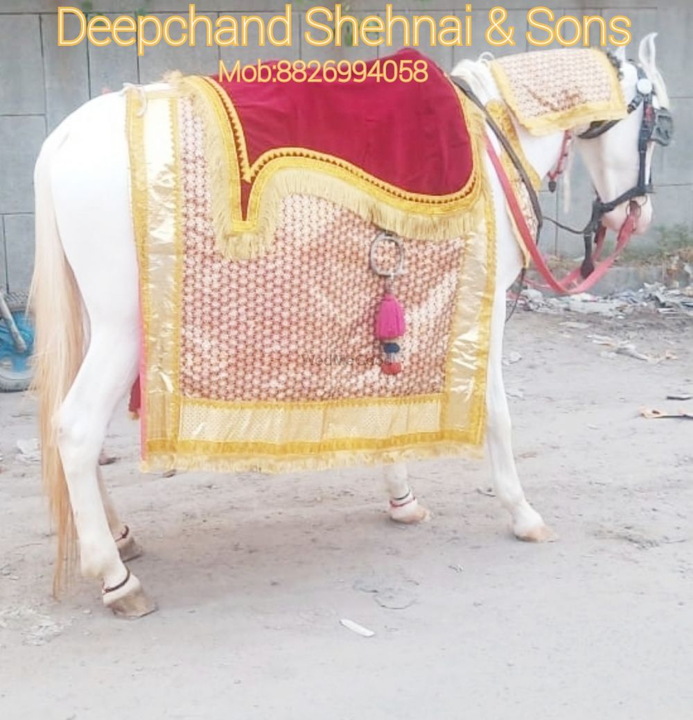 Photo From Weddings Band, Goddi , Ligth, Chatter ,Bagghi,Dhol - By Deepchand Shehnai & Sons