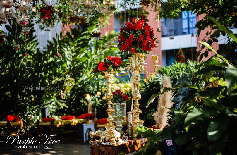 Photo From Mid Day Mehendi by the Mango Tree - By Purple Tree Events Solution