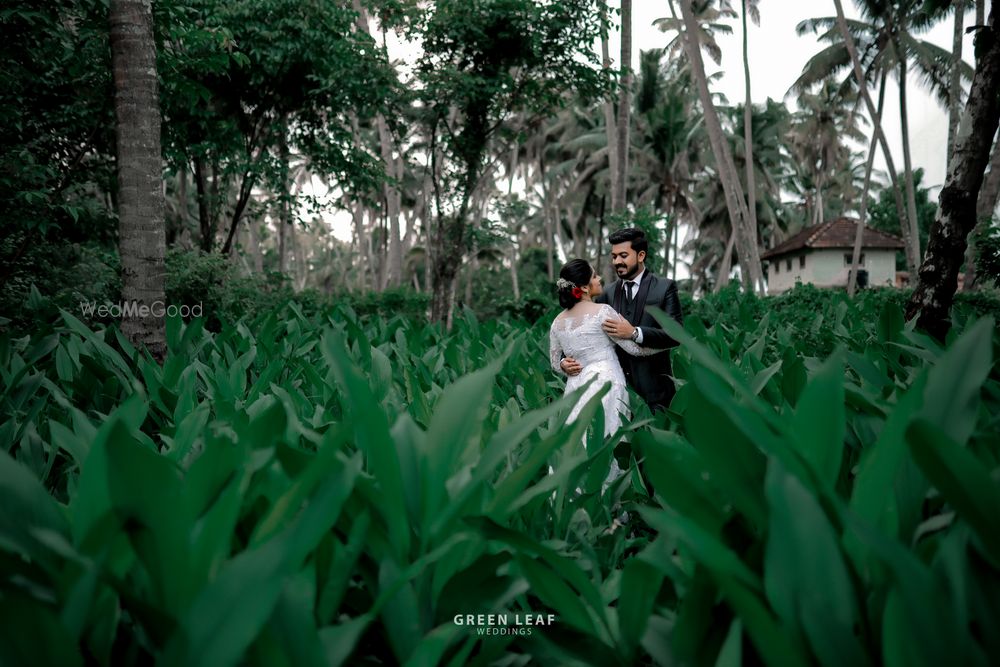 Photo From RIJO / ABEL - By Green Leaf Weddings