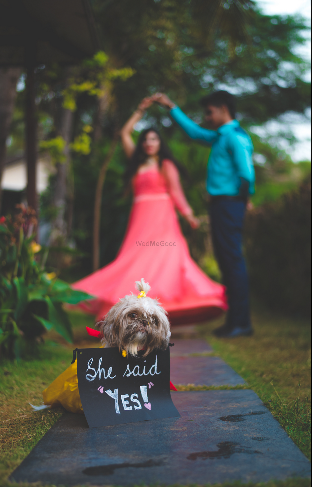 Photo of Pre wedding shoot with dog holding prop
