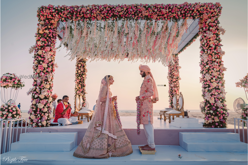 Photo From Saumya & Kanisth - By  Purple Tree Events Solution