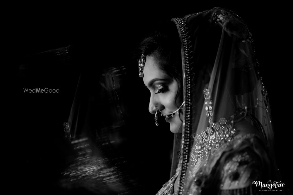Photo From PALAK & BHAVAY - By Mangotree Photography