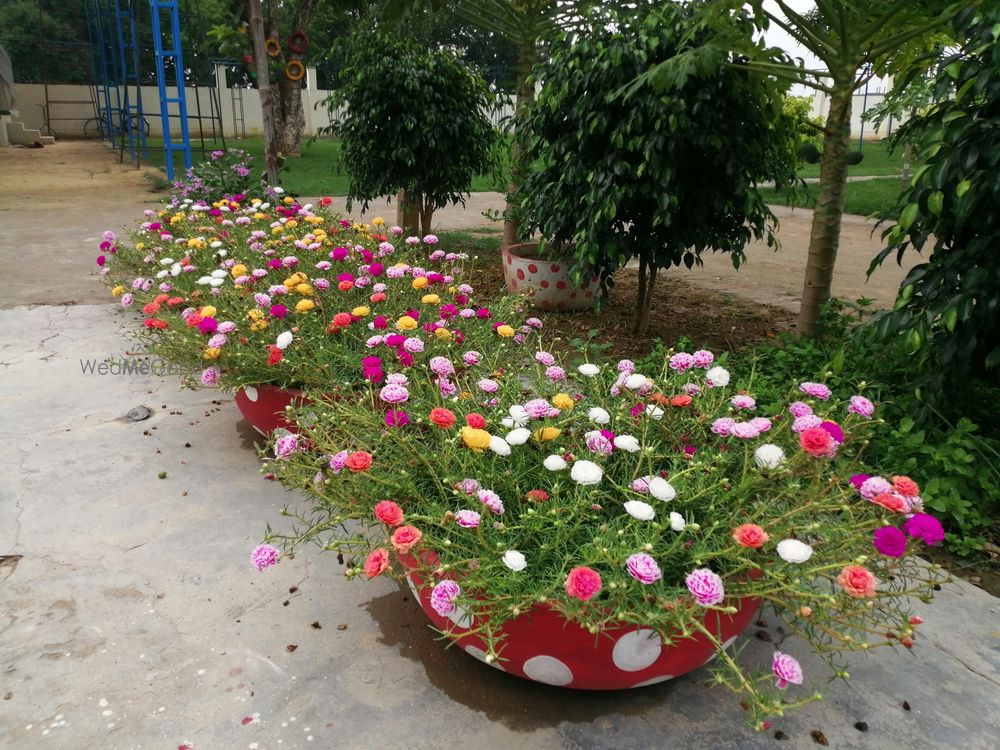 Photo From Royal Garden - By Royal Garden