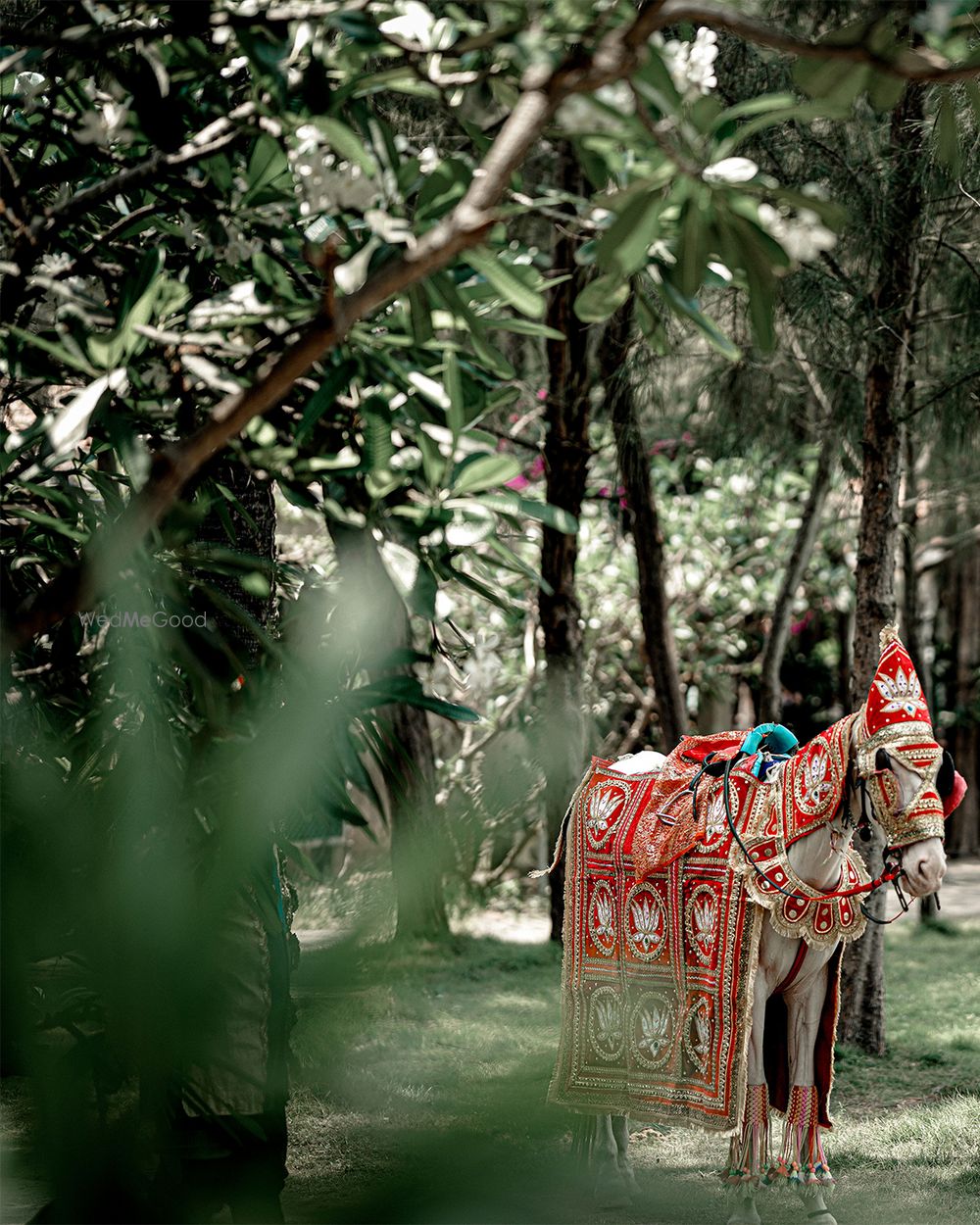 Photo From Sukesh & Ayushi - By Vinu Paravoor Photography