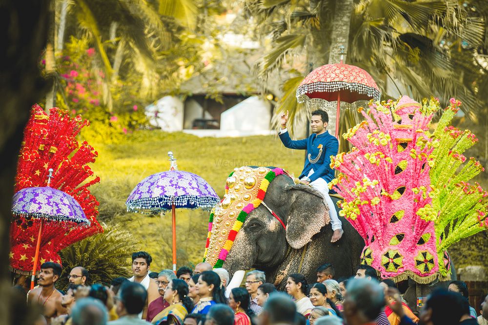 Photo of Groom in blue sherwani entering on an elephant