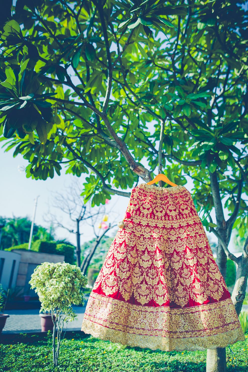 Photo of Red bridal lehenga on hanger on tree