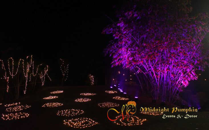 Photo From Red Feather - By Midnight Pumpkin Events & Decor