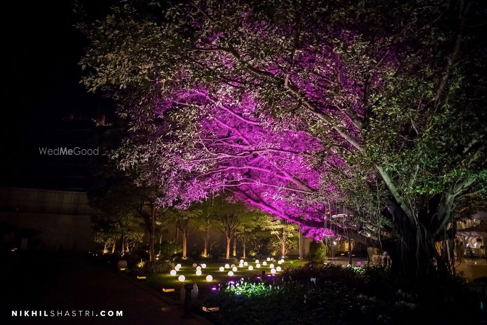 Photo From Ekta and Rohit  - By Wedlock Weddings by Vima