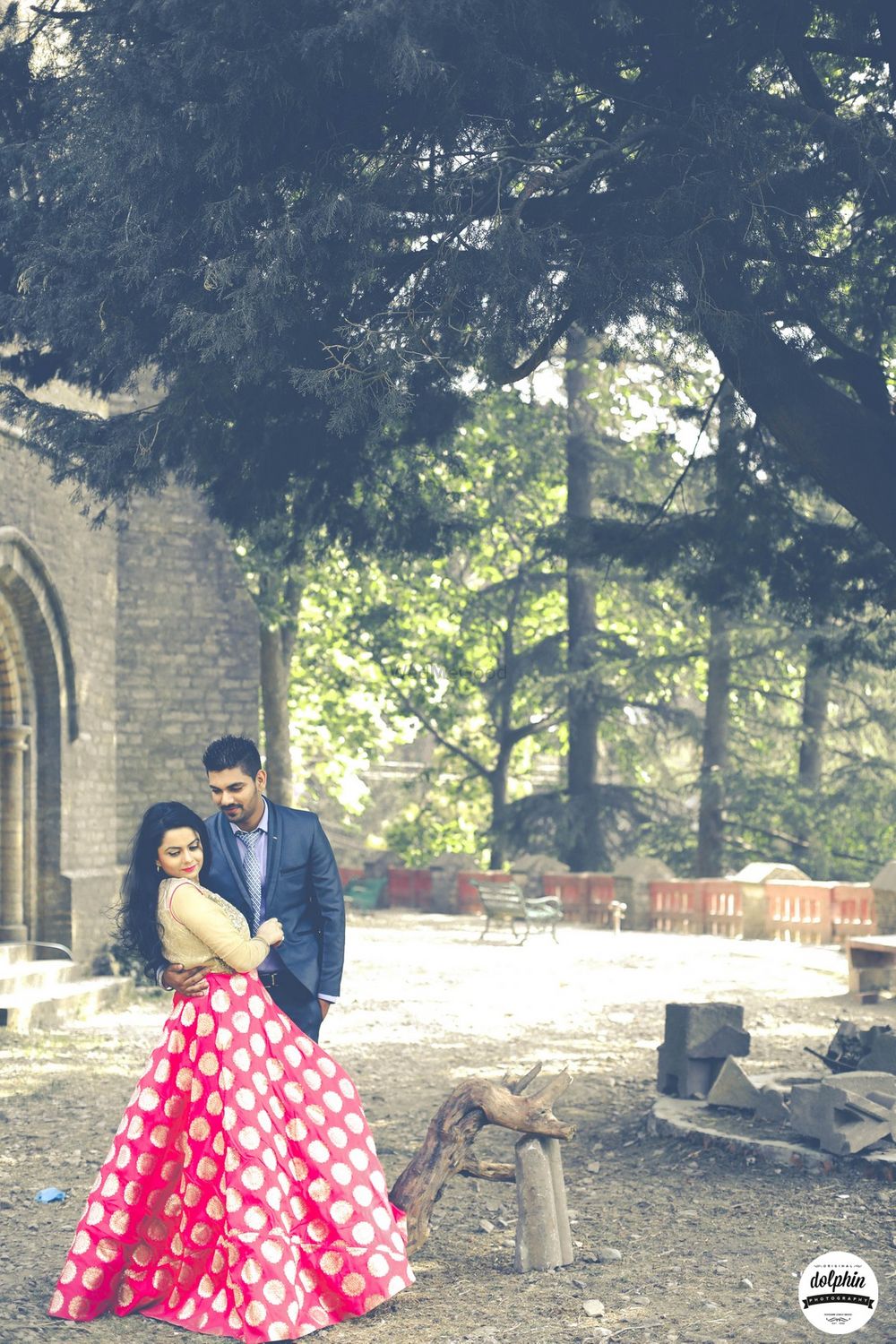 Photo From honey + pardeep - By Dolphin Photography