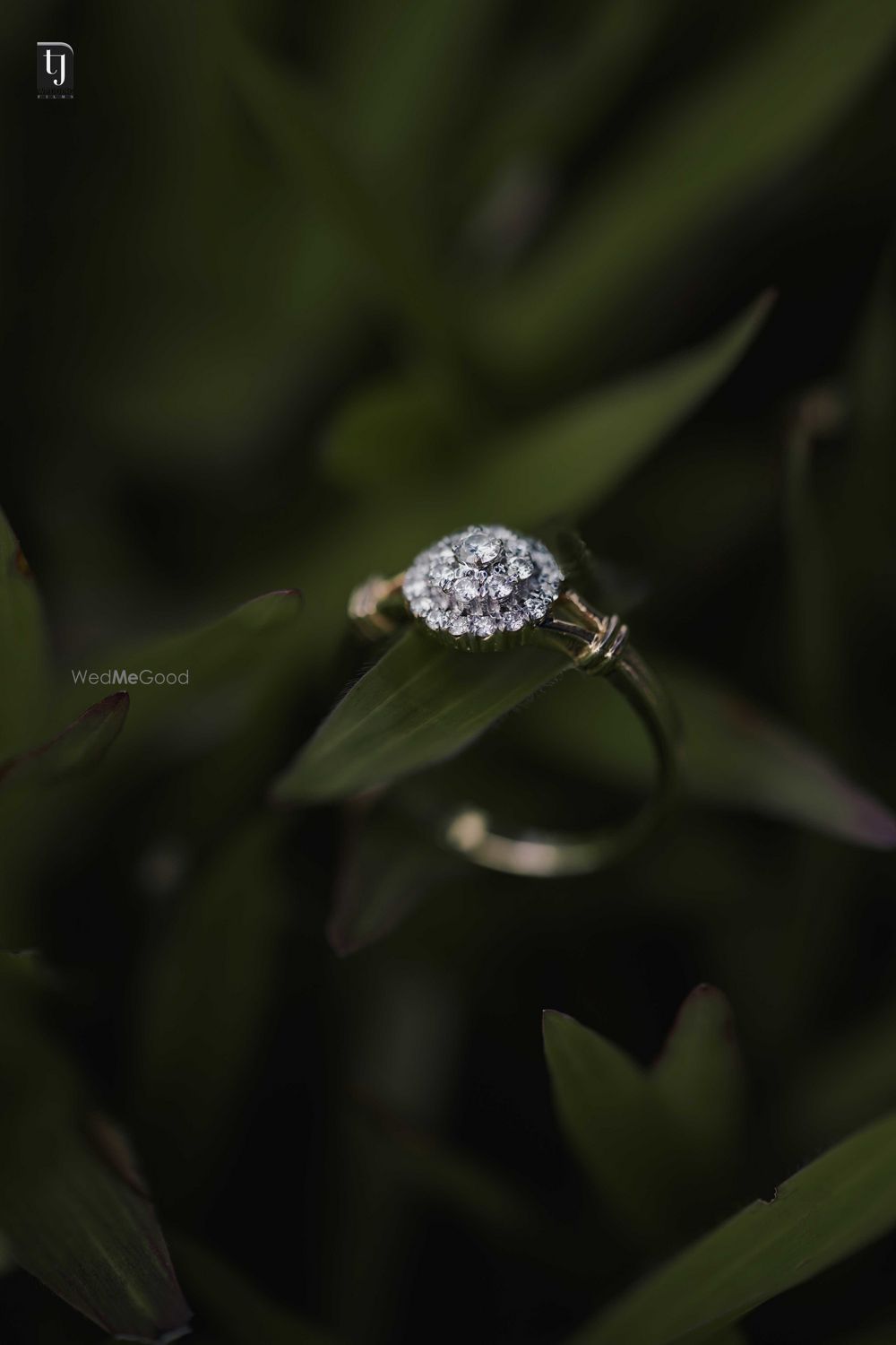 Photo From Kerala Engagement Photography - By TJ Wedding Films