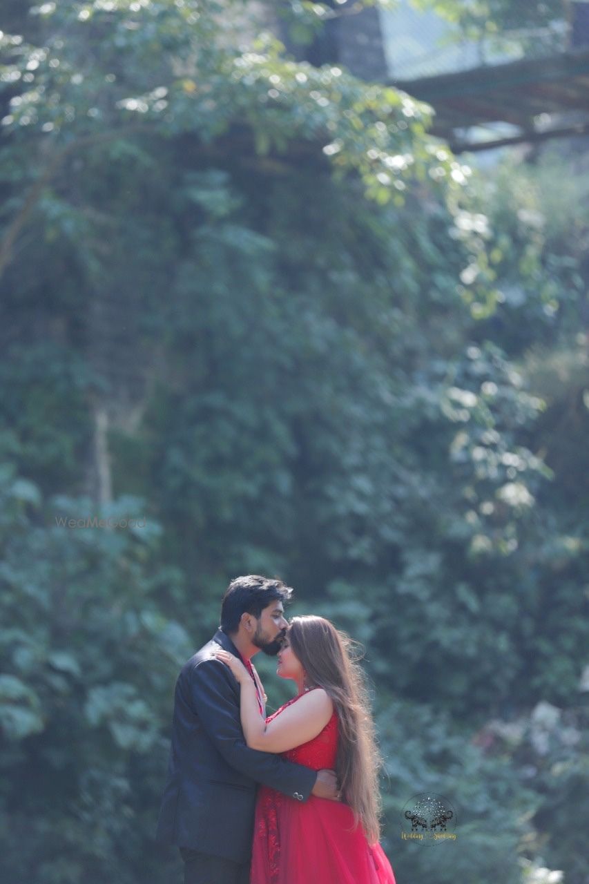 Photo From Virendar & Swati pre wedding  - By Wedding Shedding