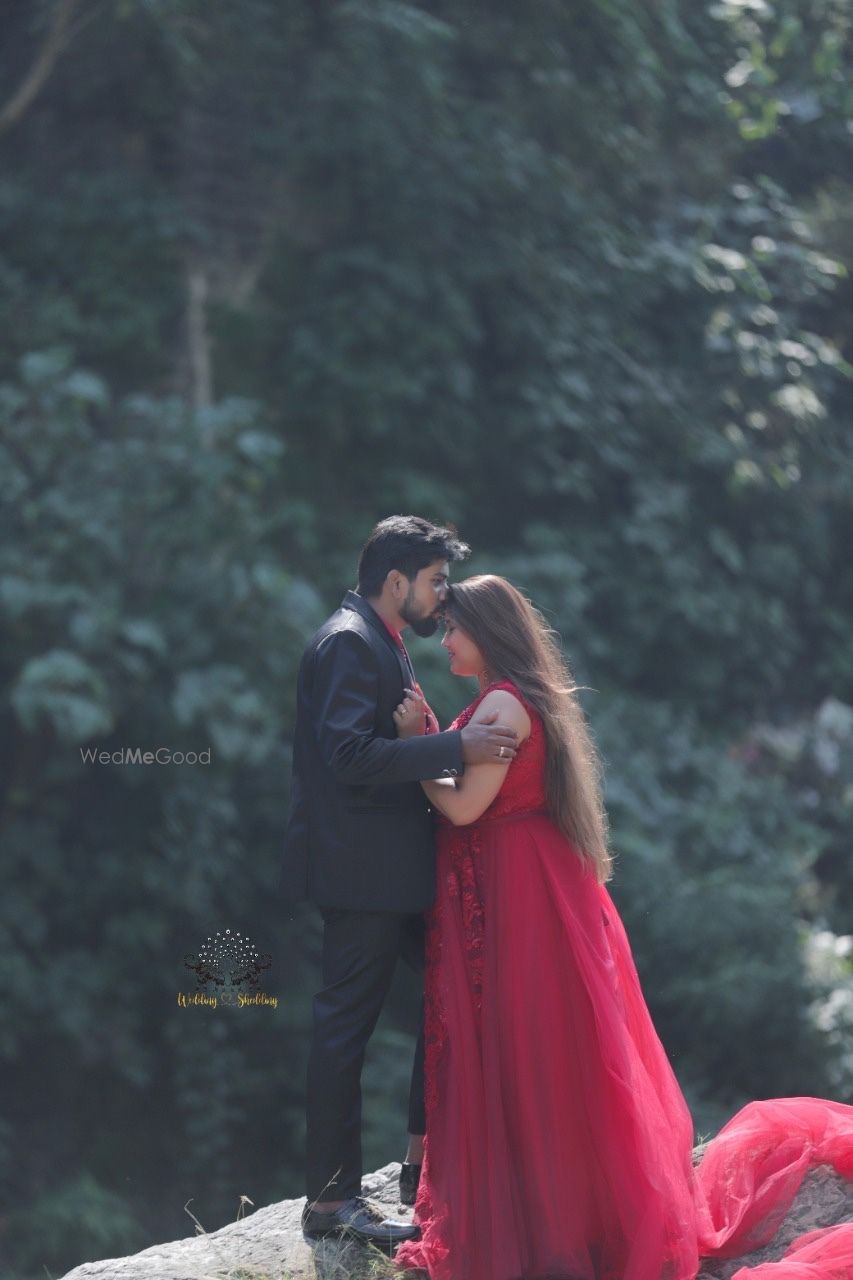 Photo From Virendar & Swati pre wedding  - By Wedding Shedding