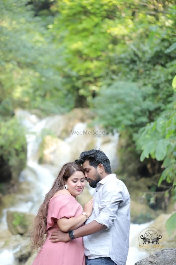 Photo From Virendar & Swati pre wedding  - By Wedding Shedding