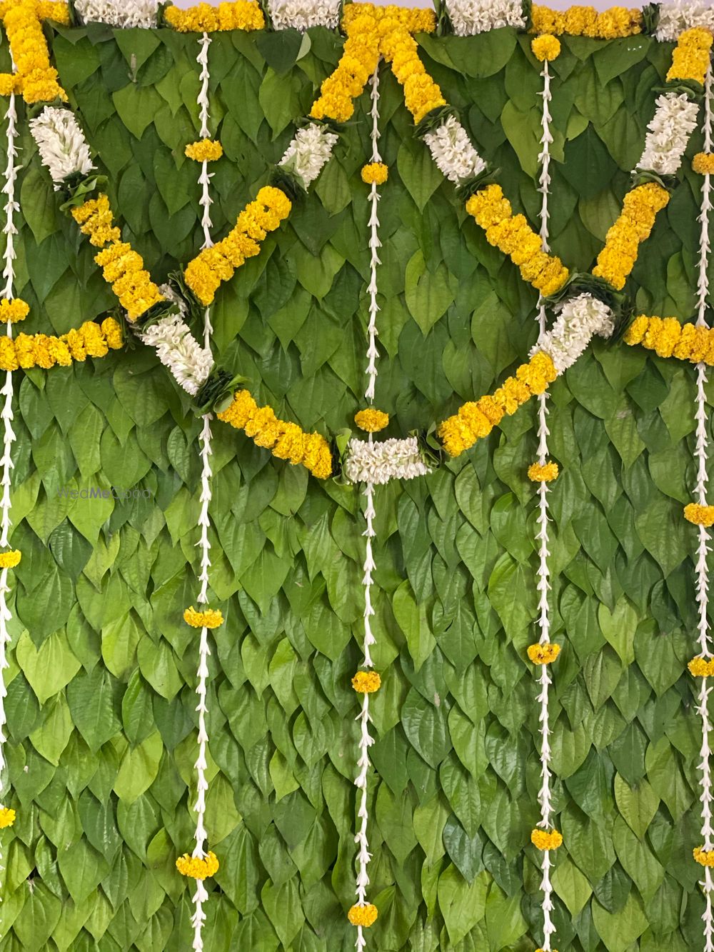 Photo From BETEL LEAF HALDI - By Above The Porch