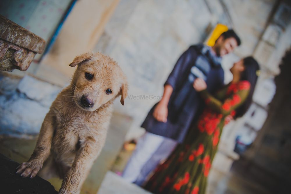 Photo From Pre-Wed | Tarishi & Ketav - By Sandeep Gadhvi Photography