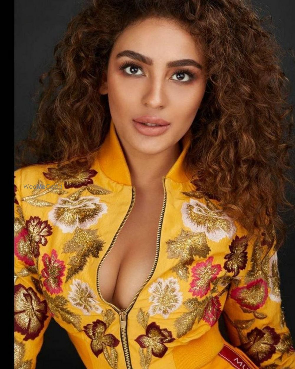 Photo From Celebrities - By Shamlee Bhagat Permanent & Beauty Makeup