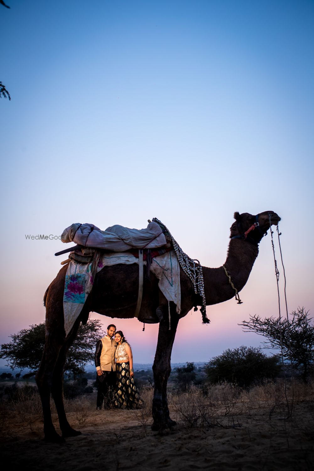 Photo From Pre-Wedding | Vishal & Jyoti | - By Priyadarshni Production