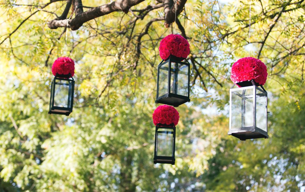 Photo of black glass lanterns with red flower balls