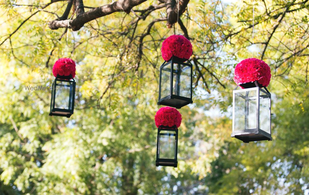 Photo of black glass lanterns with red flower balls