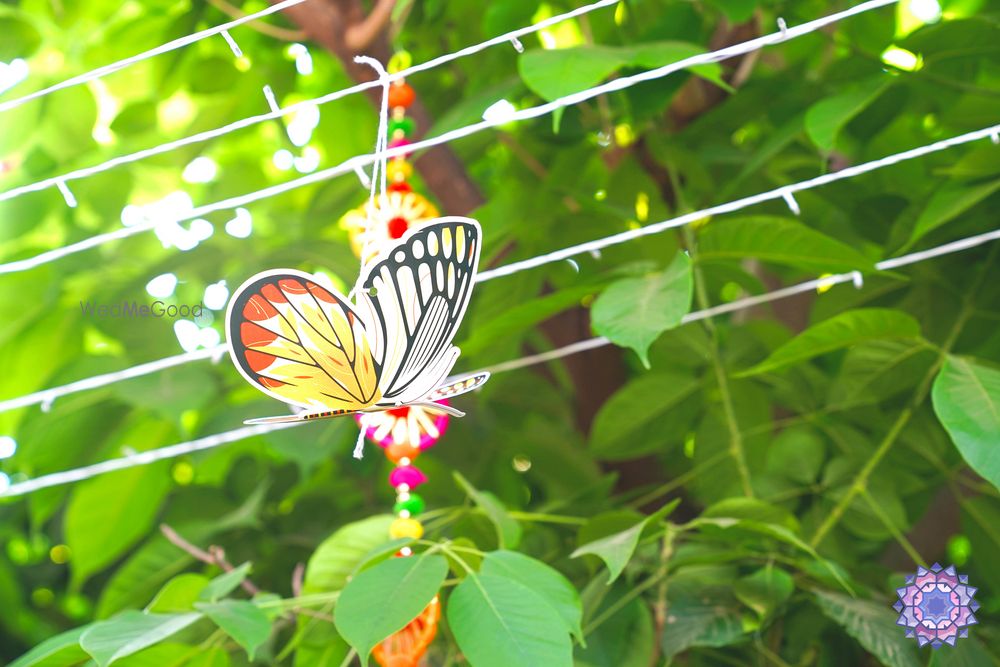 Photo From Butterfly Wonderland - By The Wedding Experience - Decor